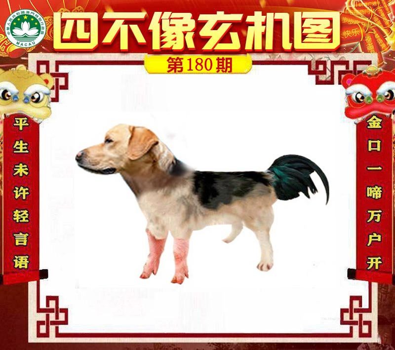 图片正在更新中……