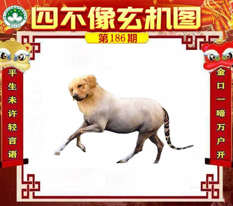 图片正在更新中……
