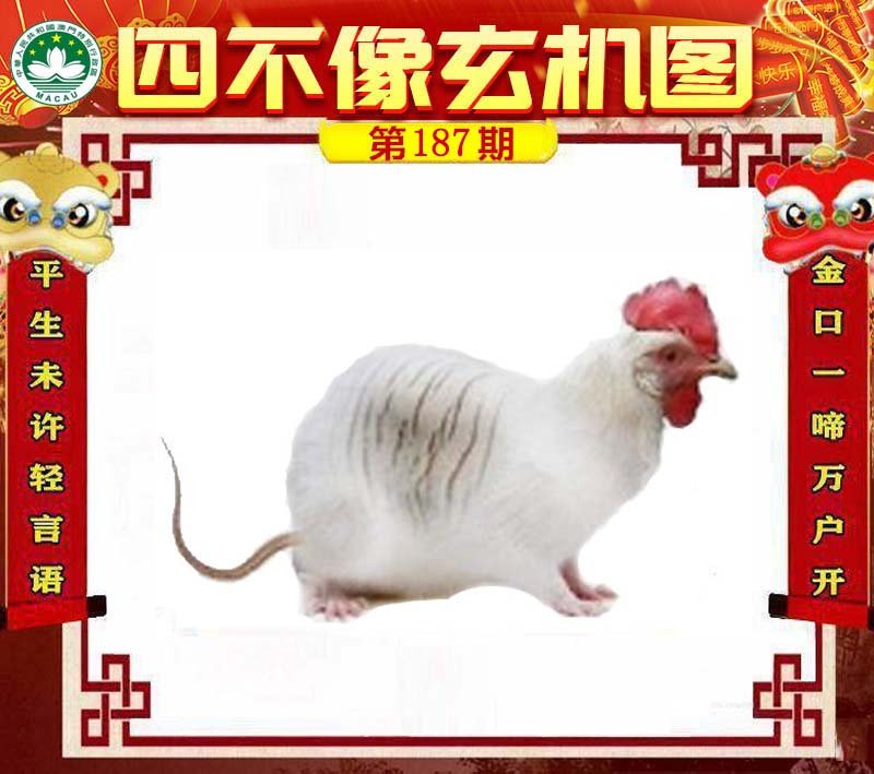 图片正在更新中……