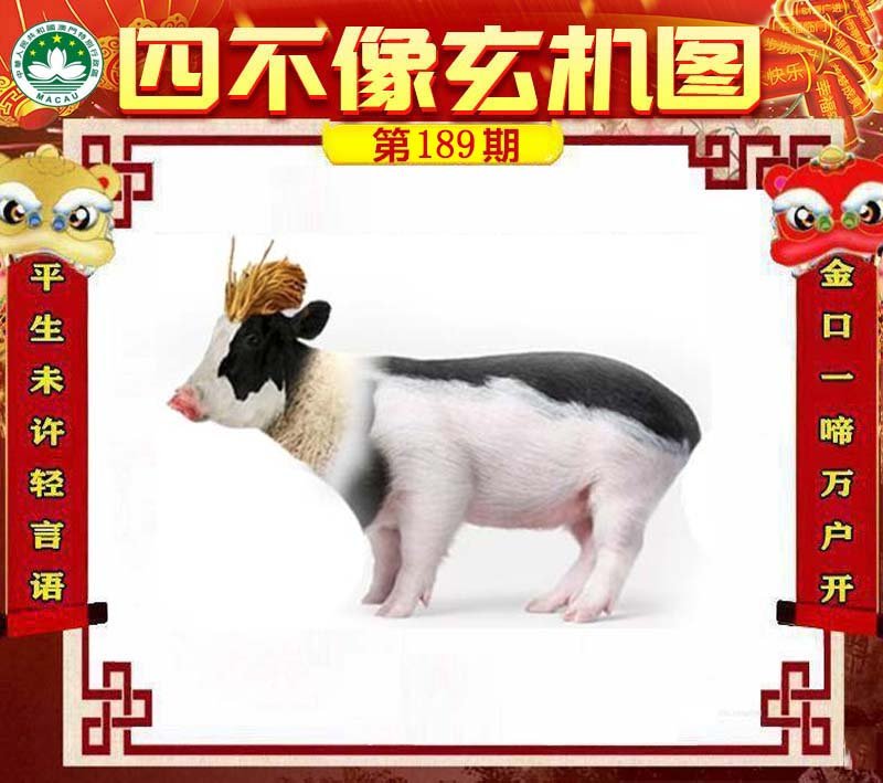 图片正在更新中……