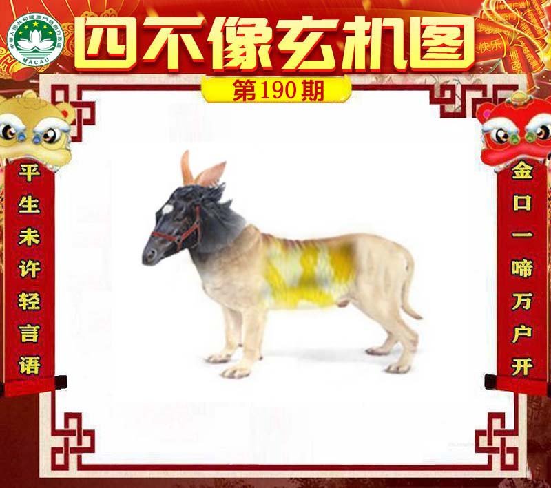 图片正在更新中……
