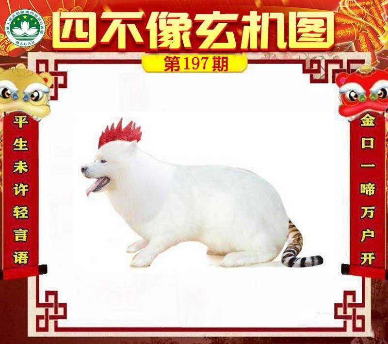 图片正在更新中……