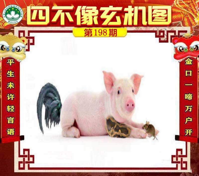 图片正在更新中……