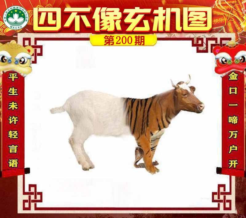 图片正在更新中……
