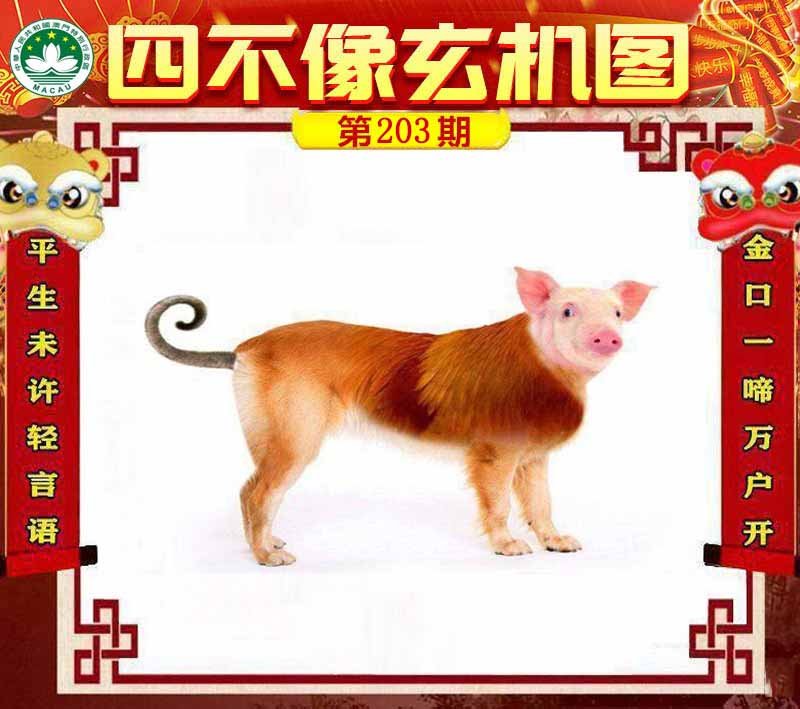 图片正在更新中……