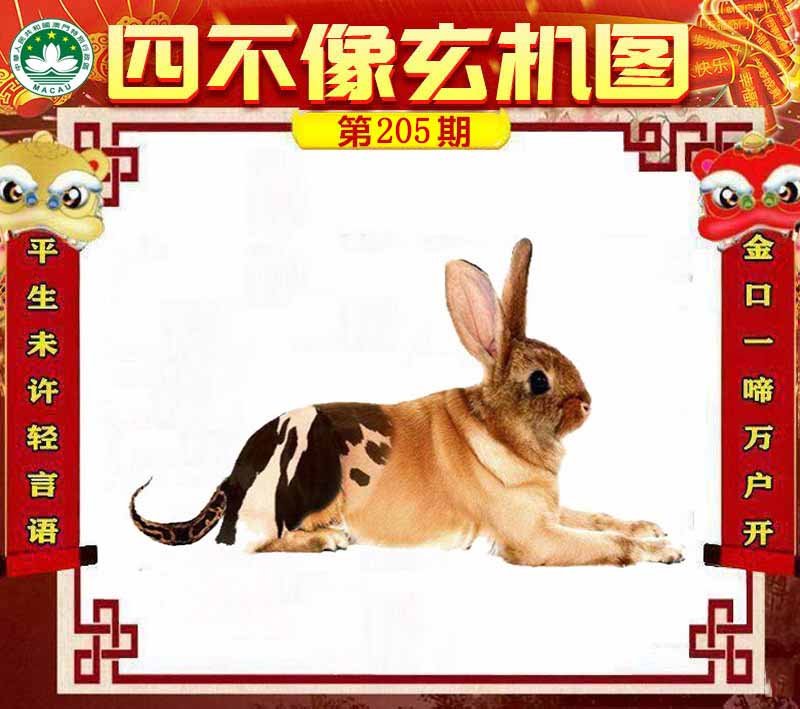图片正在更新中……