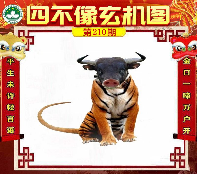 图片正在更新中……