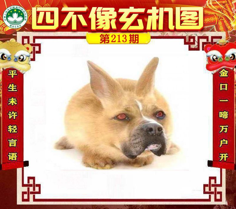 图片正在更新中……
