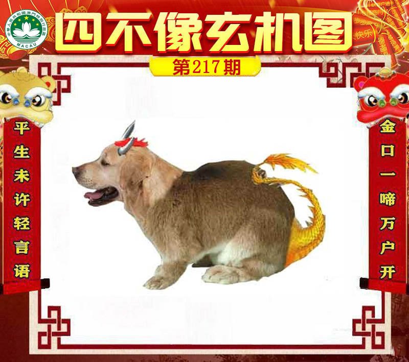 图片正在更新中……