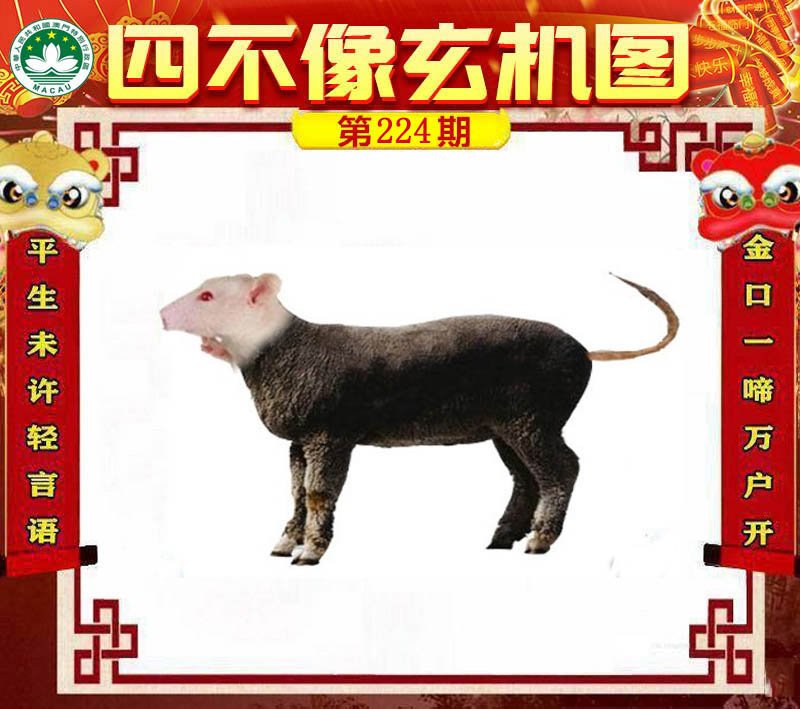 图片正在更新中……