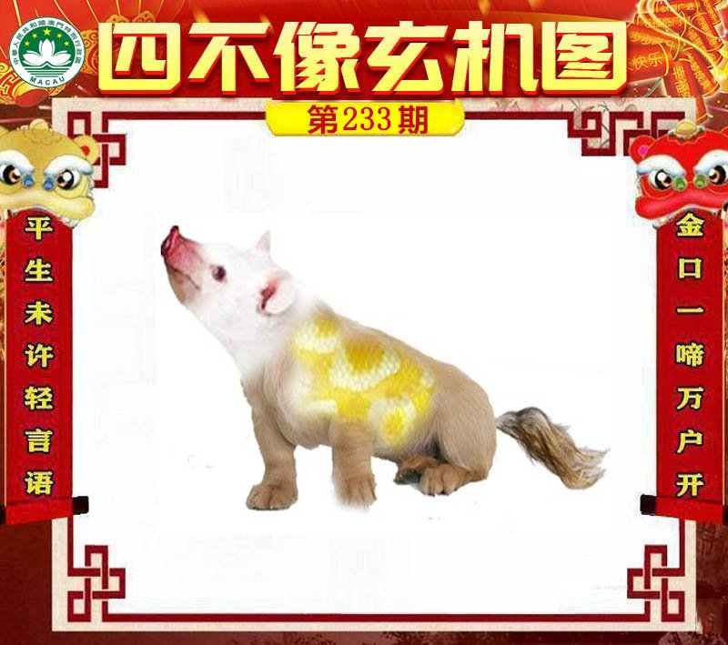 图片正在更新中……