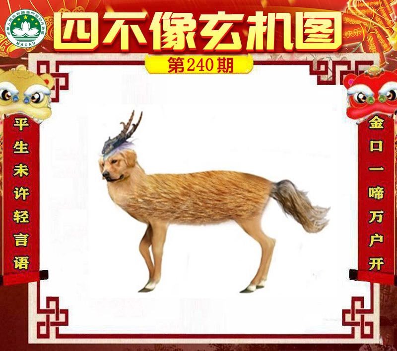 图片正在更新中……