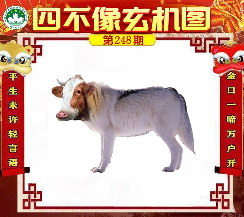 图片正在更新中……