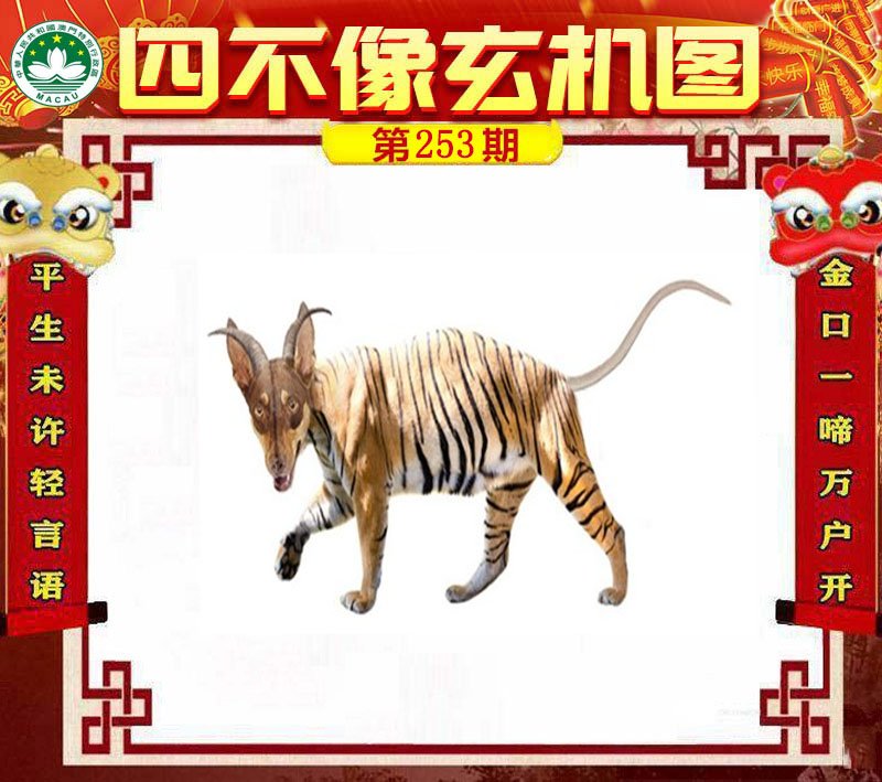 图片正在更新中……
