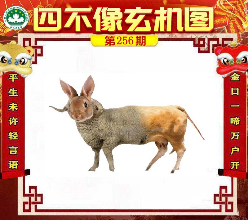 图片正在更新中……