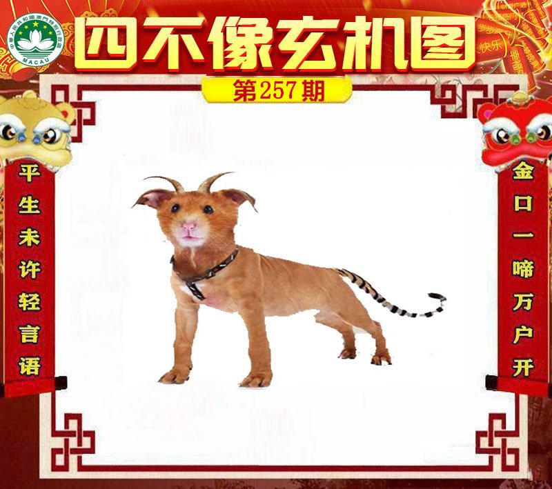 图片正在更新中……