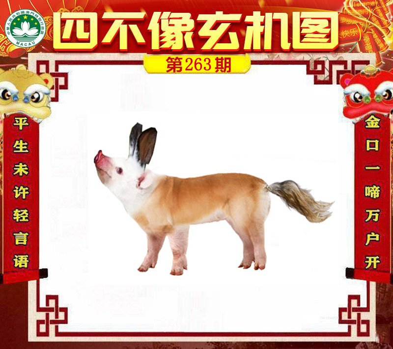 图片正在更新中……