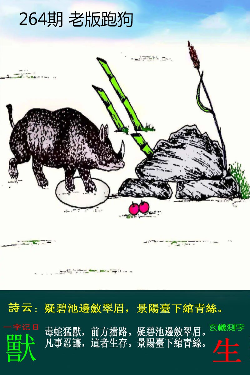 图片正在更新中……