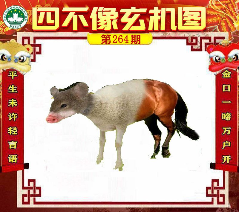 图片正在更新中……