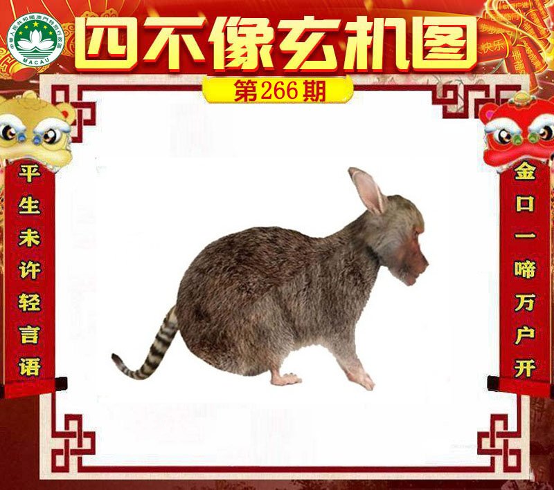 图片正在更新中……