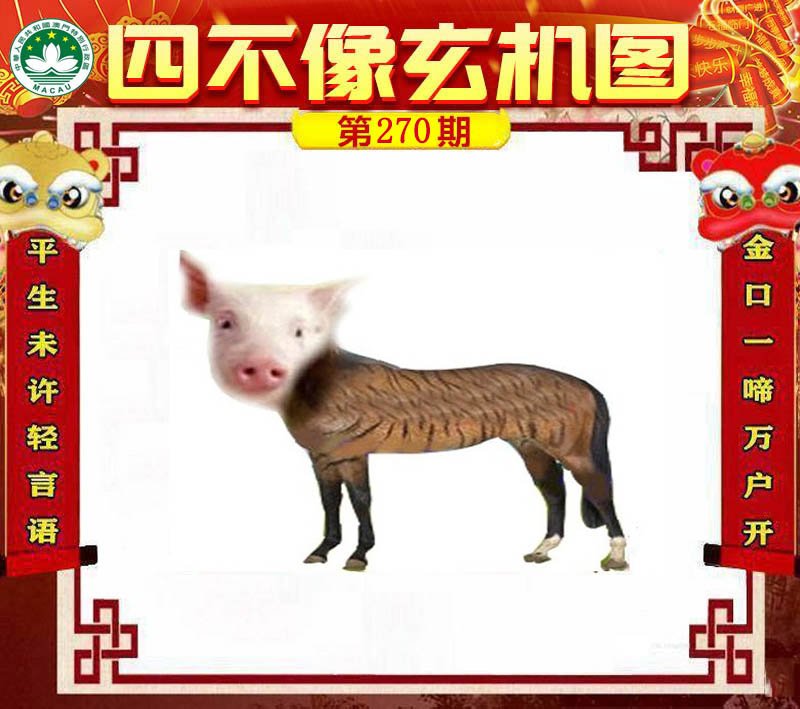 图片正在更新中……