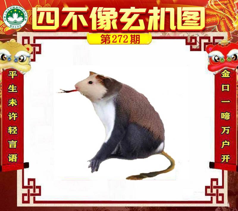 图片正在更新中……