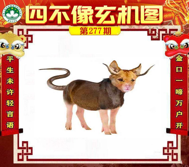 图片正在更新中……