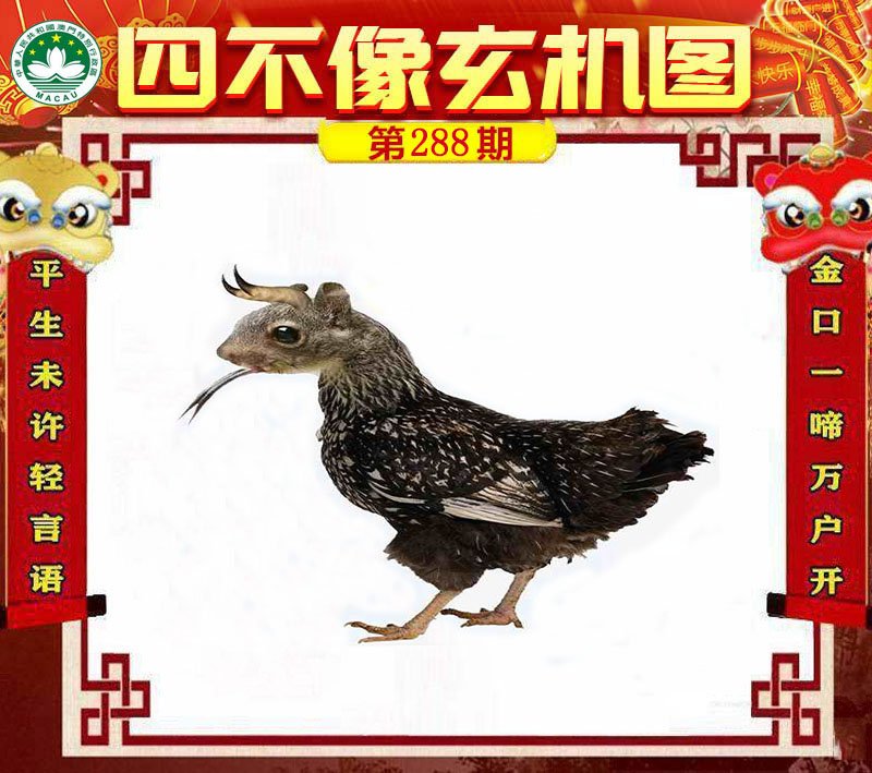 图片正在更新中……