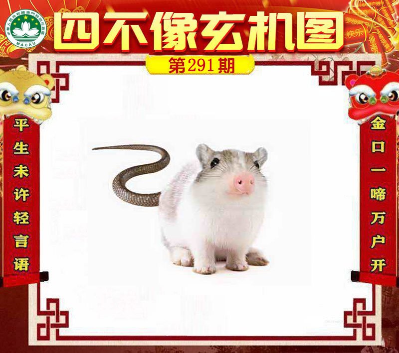 图片正在更新中……