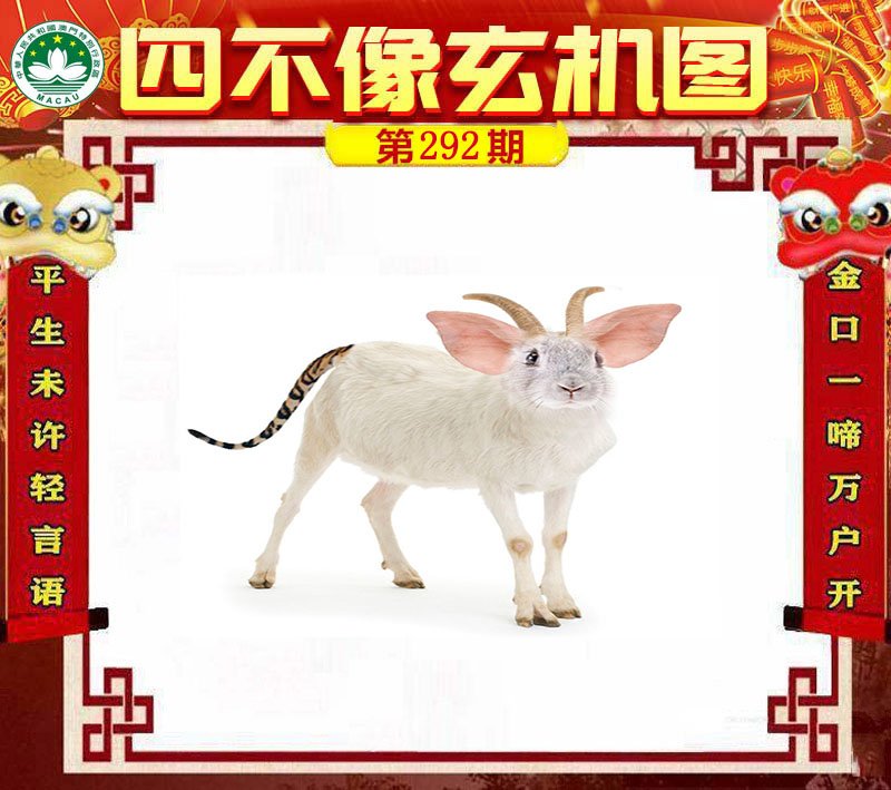 图片正在更新中……
