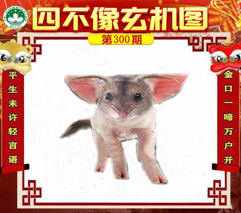 图片正在更新中……